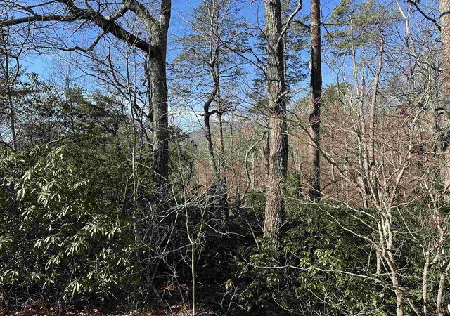 Photo 2 of Land for sale at 00 Caledonia Rd, Landrum, SC 29356 | MLS# SPN342832 | Listing updated on 2026-10-18