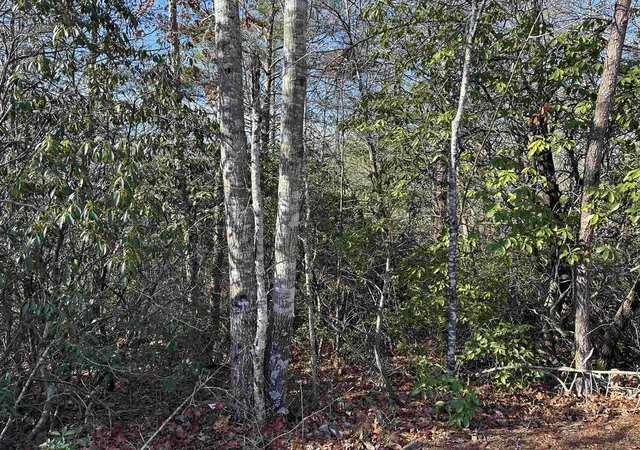 Photo 3 of Land for sale at 00 Caledonia Rd, Landrum, SC 29356 | MLS# SPN342832 | Listing updated on 2026-10-18