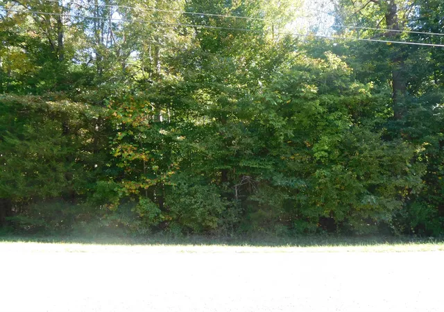 Photo 2 of Land for sale at Tbd Hamrick St, Gaffney, SC 29340 | MLS# SPN342870 | Listing updated on 2026-10-18