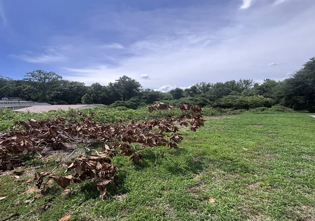 Photo 2 of Land for sale at 706 Pine Crk Dr, Greenville, SC 29605 | MLS# SPN342983 | Listing updated on 2026-10-22