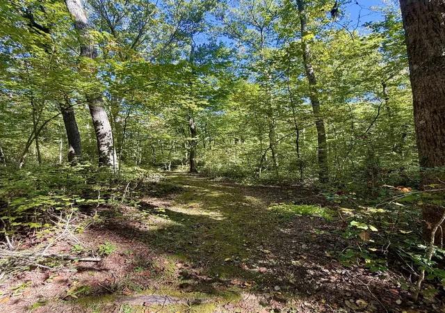 Photo 3 of Single family home for sale at 1100 Tugaloo Rd, Landrum, SC 29356 | MLS# SPN343285 | Listing updated on 2026-10-30