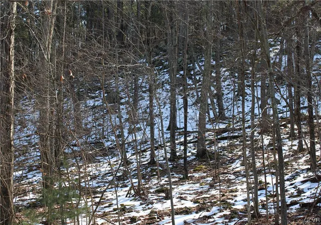 Photo 3 of Land for sale at Deer Path 21, Bushkill, PA 18324 | MLS# 733719 | Listing updated on 2026-05-11