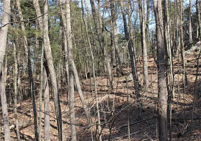 Photo 4 of Land for sale at Deer Path 21, Bushkill, PA 18324 | MLS# 733719 | Listing updated on 2026-05-11