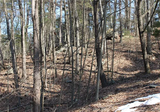 Photo 5 of Land for sale at Deer Path 21, Bushkill, PA 18324 | MLS# 733719 | Listing updated on 2026-05-11