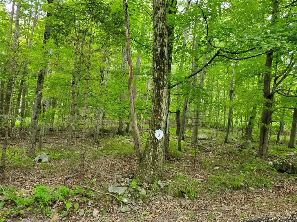 Land for sale at 3 Tall Oak #Lot 3, Tobyhanna Twp, PA 18347 | MLS# 737124
