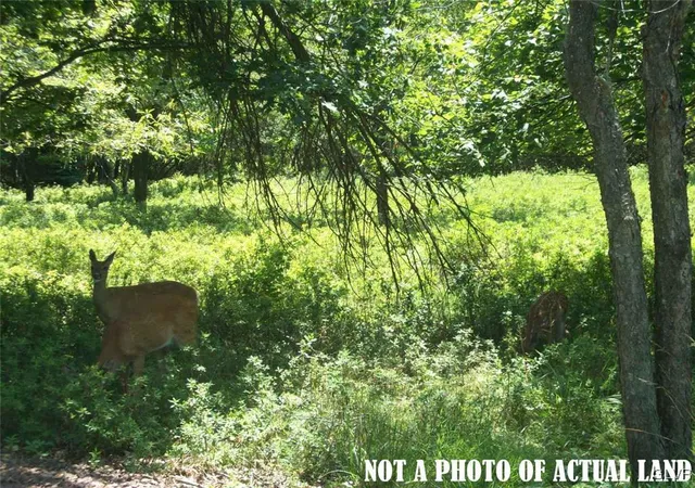 Photo 1 of Land for sale at 1369 Stony Mountain Rd, Albrightsville, PA 18210 | MLS# 751362 | Listing updated on 2026-07-27