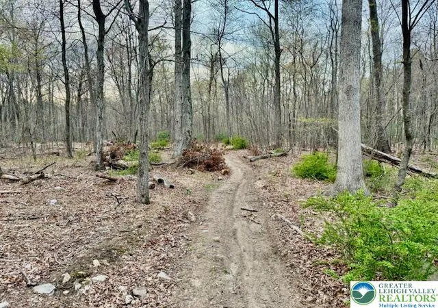 3rd image of 9170 N Loop Rd, Slatington, PA 18080 | MLS# 756116