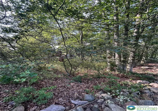 Photo 2 of Land for sale at Lot F534 Pinoak Dr, Penn Forest Twp, PA 18229 | MLS# 760997 | Listing updated on 2026-06-04