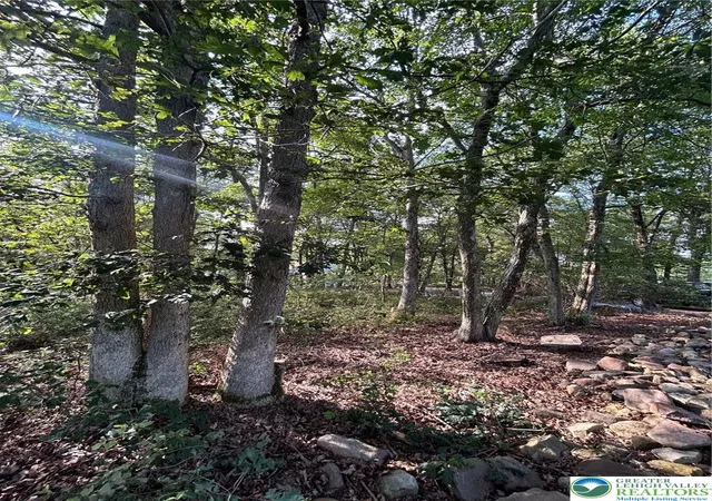 Photo 2 of Land for sale at Lot F534 Pinoak Dr, Penn Forest Twp, PA 18229 | MLS# 760997 | Listing updated on 2026-06-04