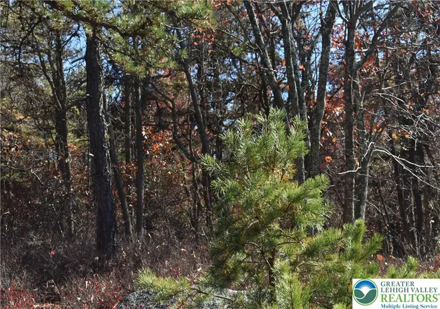3rd image of Buck Mountain Blvd, Hazleton, PA 18202 | MLS# 762442
