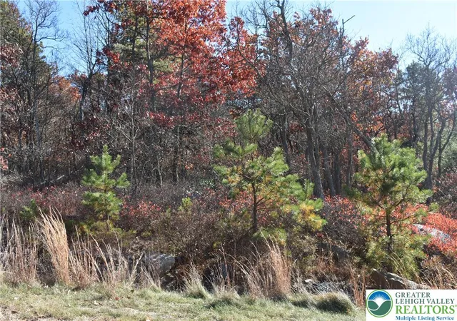 4th image of Buck Mountain Blvd, Hazleton, PA 18202 | MLS# 762442