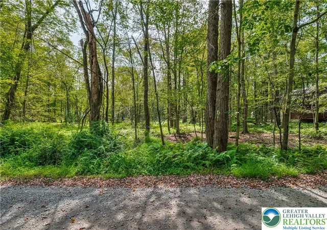 Photo 3 of Land for sale at 804 Evergreen Dr, Pocono Lake, PA 18347 | MLS# 761768 | Listing updated on 2026-07-06