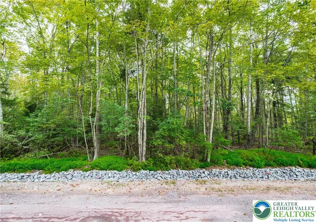 Homes for sale in Tobyhanna Twp, PA | 812 Beaver Run Rd, Tobyhanna Twp, PA 18347 | MLS# 763017