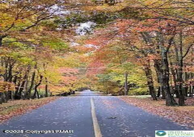 Photo 1 of Land for sale at 1907 Penn Forest Trl, Albrightsville, PA 18210 | MLS# 766982 | Listing updated on 2026-05-11