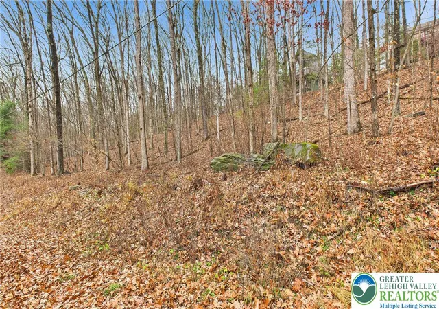 Photo 3 of Land for sale at 221 Brookdale Dr, Bartonsville, PA 18321 | MLS# 768766 | Listing updated on 2026-05-11