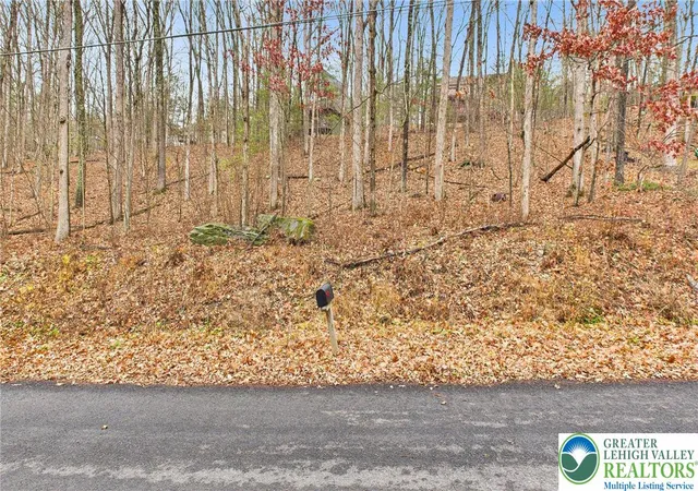Photo 4 of Land for sale at 221 Brookdale Dr, Bartonsville, PA 18321 | MLS# 768766 | Listing updated on 2026-05-11