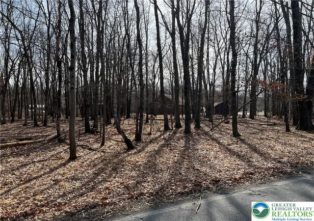 Photo 1 of Land for sale at 503 Woodland Rd, Penn Forest Twp, PA 18229 | MLS# 769171 | Listing updated on 2026-07-28