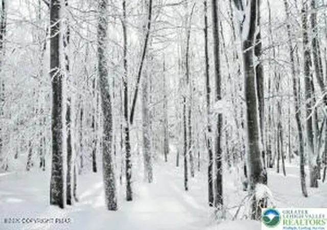 Photo 4 of Land for sale at 0 Whipporwill Dr, Bushkill, PA 18324 | MLS# 769795 | Listing updated on 2026-05-11