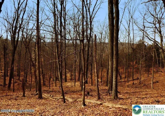 1st image of 0 Deerfoot & Pine Tree Rd, Albrightsville, PA 18210 | MLS# 770171