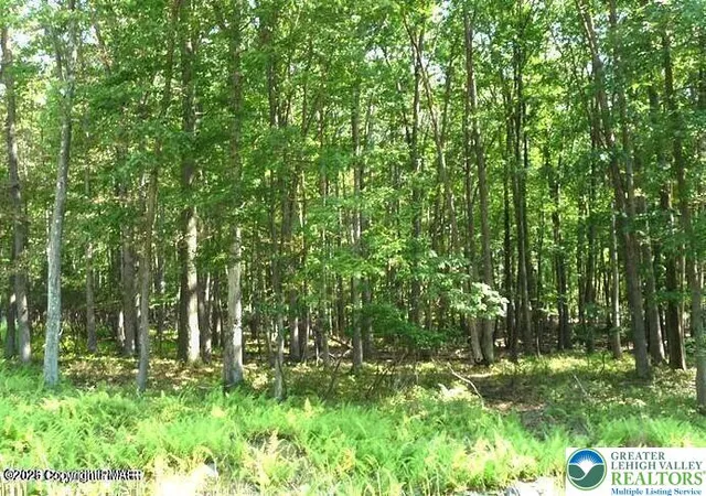 Photo 1 of Land for sale at 407 Sassafras Rd, Penn Forest Twp, PA 18210 | MLS# 770193 | Listing updated on 2026-05-11