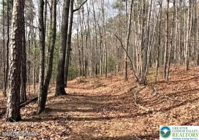 Photo 2 of Land for sale at 407 Sassafras Rd, Penn Forest Twp, PA 18210 | MLS# 770193 | Listing updated on 2026-05-11