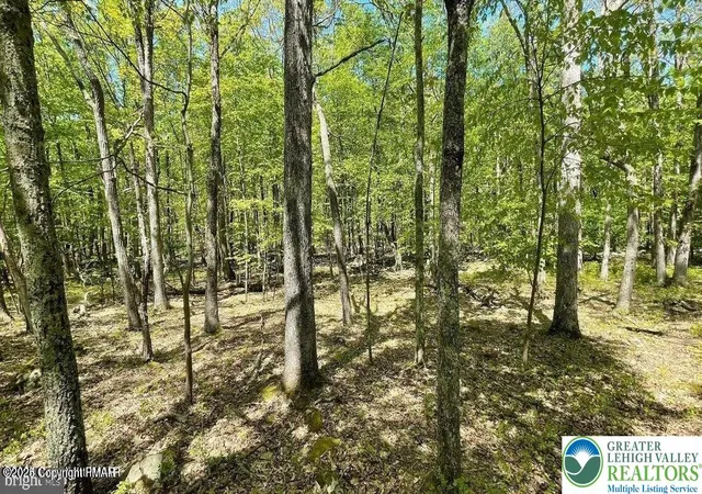 Photo 4 of Land for sale at Spring Ct, Bushkill, PA 18324 | MLS# 770291 | Listing updated on 2026-05-11