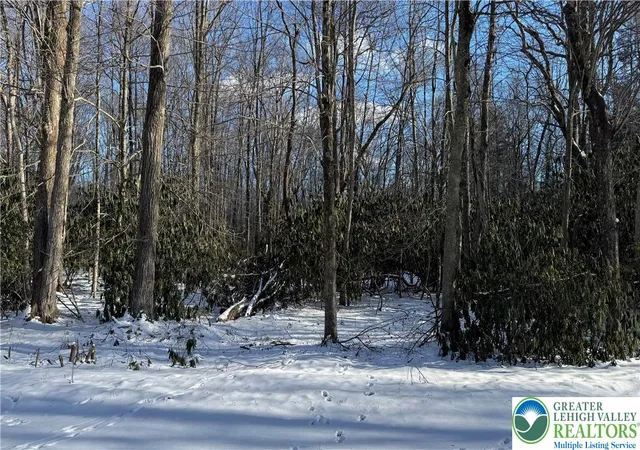 Photo 3 of Land for sale at Oakland Dr, Albrightsville, PA 18210 | MLS# 770364 | Listing updated on 2026-10-01