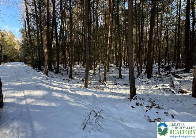 Homes for sale in Kidder Twp, PA | Treetop Ln, Kidder Twp, PA 18210 | MLS# 770367