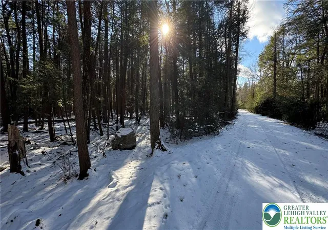 Homes for sale in Kidder Twp, PA | Treetop Ln, Kidder Twp, PA 18210 | MLS# 770367