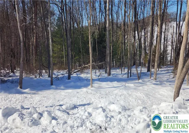 2nd image of 2199 Cherry Hill Rd, Palmerton, PA 18071 | MLS# 771453