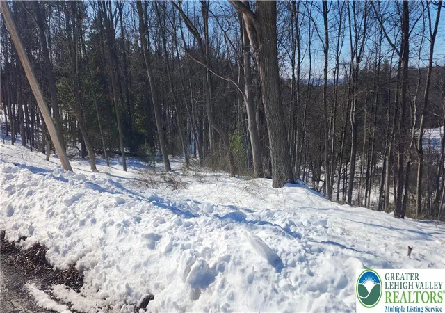 Photo 3 of Land for sale at 2199 Cherry Hl Rd, Palmerton, PA 18071 | MLS# 771453 | Listing updated on 2026-07-29