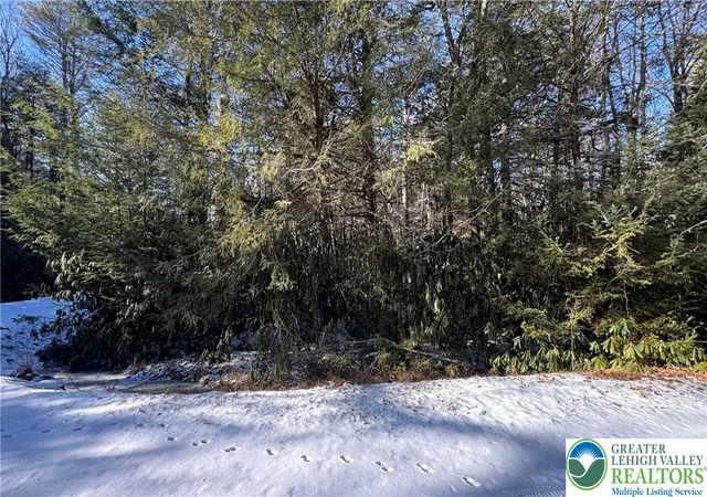 Homes for sale in Kidder Twp, PA | 0 Driftwood Dr, Kidder Twp, PA 18210 | MLS# 771799