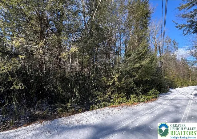 Homes for sale in Kidder Twp, PA | 0 Driftwood Dr, Kidder Twp, PA 18210 | MLS# 771799