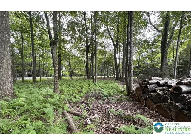 Photo 2 of Land for sale at 1151 Lexington Ave #38, Pocono Summit, PA 18346 | MLS# 772507 | Listing updated on 2026-06-24