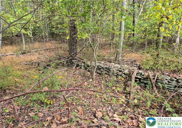 Homes for sale in Moore Twp, PA | Millheim Rd, Moore Twp, PA 18014 | MLS# 772741