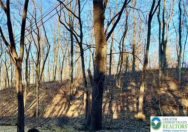 Homes for sale in Upper Macungie Twp, PA | 777 Adams Rd, Upper Macungie Twp, PA 18031 | MLS# 773128