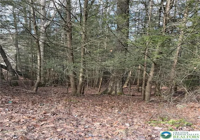 Photo 1 of Land for sale at 2287 Locust Ridge Rd #5, Pocono Lake, PA 18347 | MLS# 773192 | Listing updated on 2026-05-11