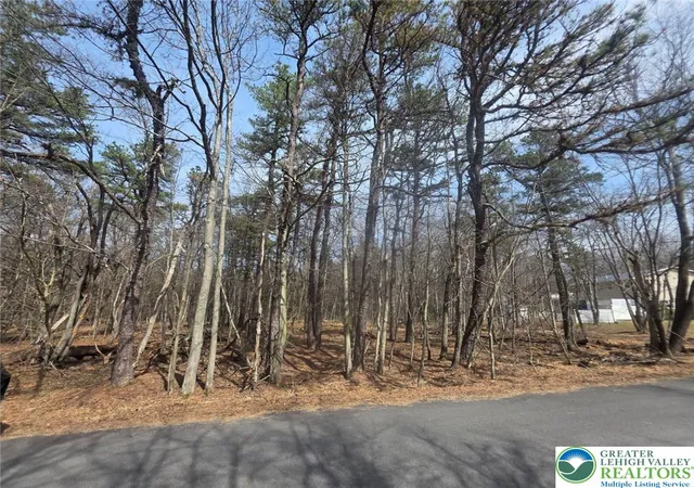 Homes for sale in Tobyhanna Twp, PA | 826 Laurel Rd, Tobyhanna Twp, PA 18344 | MLS# 773939