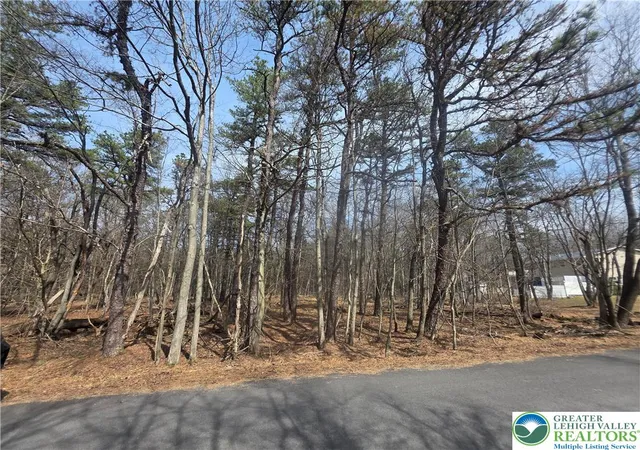 Homes for sale in Tobyhanna Twp, PA | 826 Laurel Rd, Tobyhanna Twp, PA 18344 | MLS# 773939