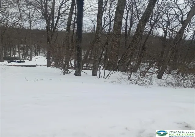 Photo 1 of Land for sale at 88 Bear Cub Path Trl, Scotrun, PA 18355 | MLS# 772377 | Listing updated on 2026-05-11