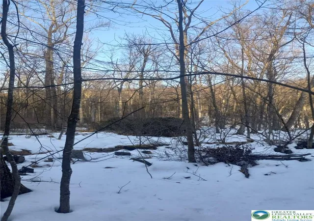 Photo 2 of Land for sale at 88 Bear Cub Path Trl, Scotrun, PA 18355 | MLS# 772377 | Listing updated on 2026-05-11