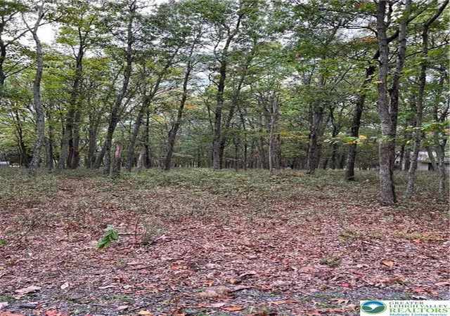 Photo 3 of Land for sale at 275 Forest Dr, Canadensis, PA 18325 | MLS# 774608 | Listing updated on 2026-05-11