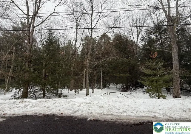 Photo 3 of Land for sale at Dryden Dr, Albrightsville, PA 18210 | MLS# 774596 | Listing updated on 2026-06-05