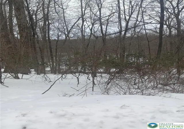 Photo 1 of Land for sale at 81 Bear Cub Path, Scotrun, PA 18355 | MLS# 774795 | Listing updated on 2026-05-11