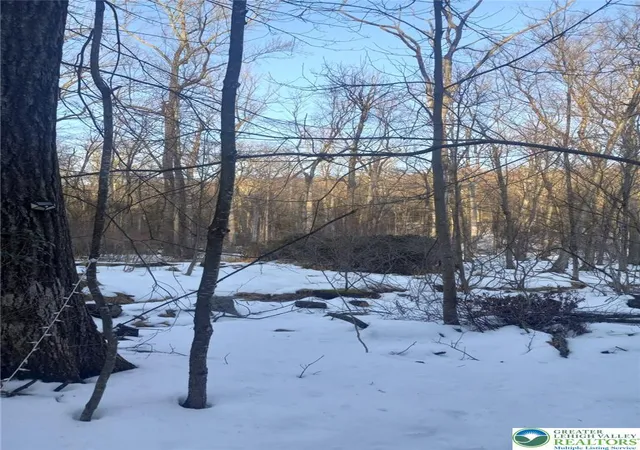 Photo 2 of Land for sale at 81 Bear Cub Path, Scotrun, PA 18355 | MLS# 774795 | Listing updated on 2026-05-11