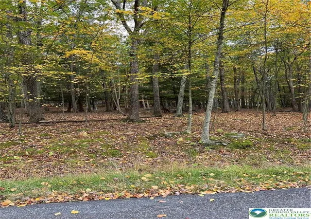 Photo 1 of Land for sale at 289 Forest Dr, Canadensis, PA 18325 | MLS# 774866 | Listing updated on 2026-05-11