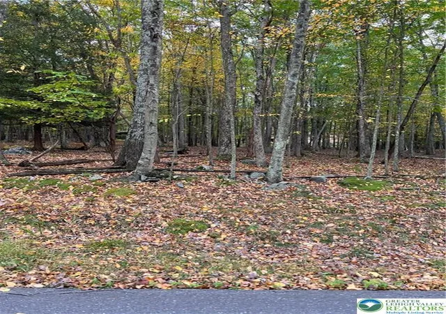 Photo 2 of Land for sale at 289 Forest Dr, Canadensis, PA 18325 | MLS# 774866 | Listing updated on 2026-05-11