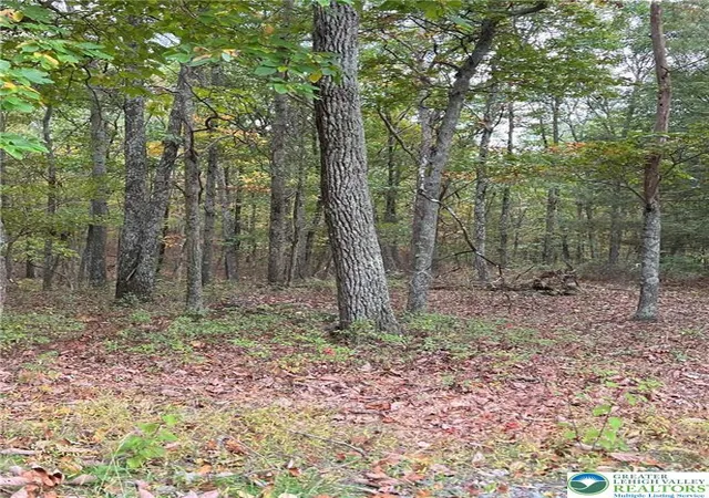 Photo 3 of Land for sale at 289 Forest Dr, Canadensis, PA 18325 | MLS# 774866 | Listing updated on 2026-05-11