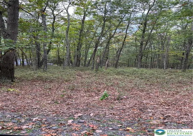 Photo 5 of Land for sale at 289 Forest Dr, Canadensis, PA 18325 | MLS# 774866 | Listing updated on 2026-05-11