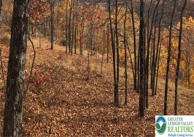 Photo 2 of Land for sale at 1216 Dorset Dr, Bushkill, PA 18324 | MLS# 774877 | Listing updated on 2026-05-11